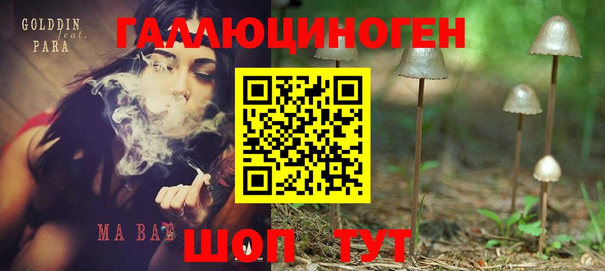 Галлюциногенные грибы Psilocybine cubensis Изобильный