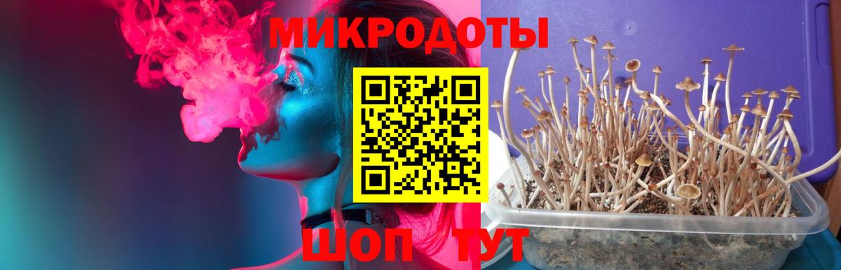 Галлюциногенные грибы Cubensis  наркотики  Изобильный  Вход с VPN  Галлюциногенные грибы Magic Shrooms 
